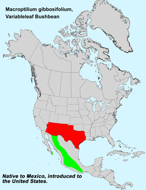 North America species range map for Variableleaf Bushbean, Macroptilium gibbosifolium: 